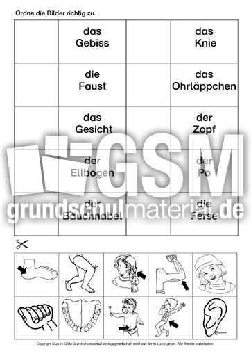 AB-DAZ-Körperteile-zuordnen-4.pdf